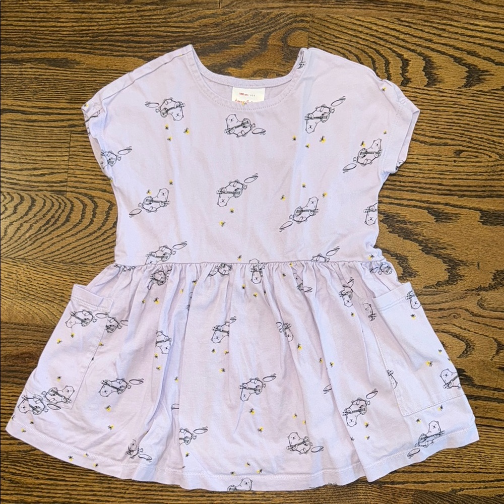 Hanna Andersson lilac dress with pockets